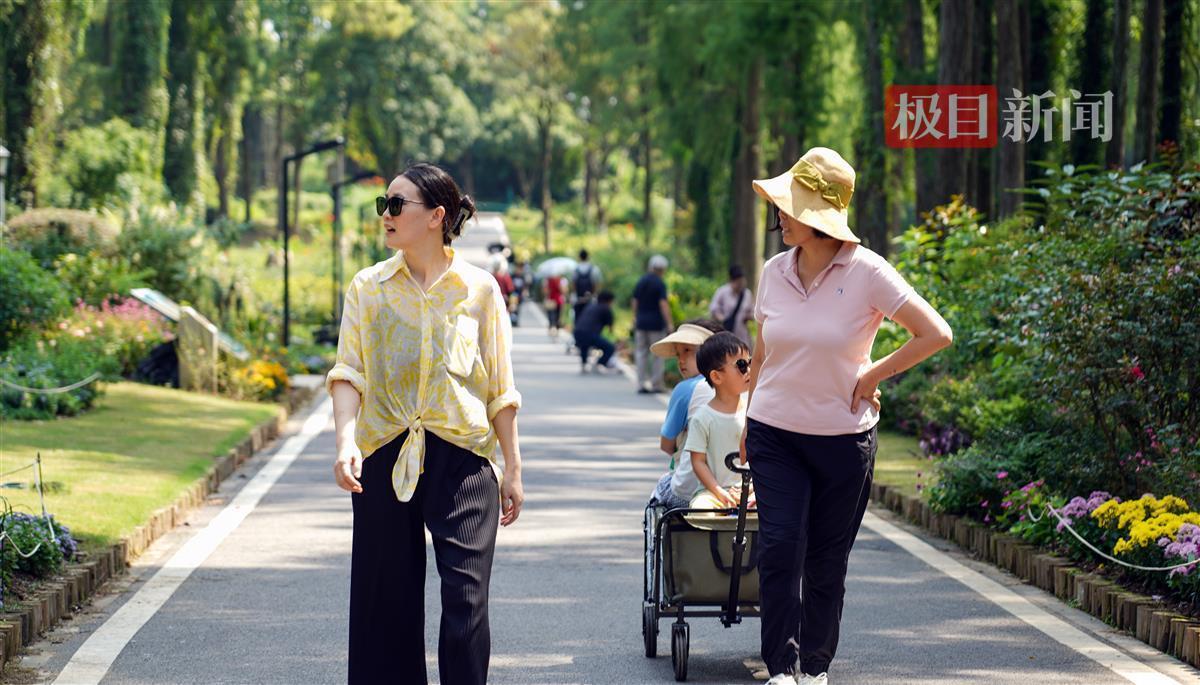 澳门银娱优越会网址