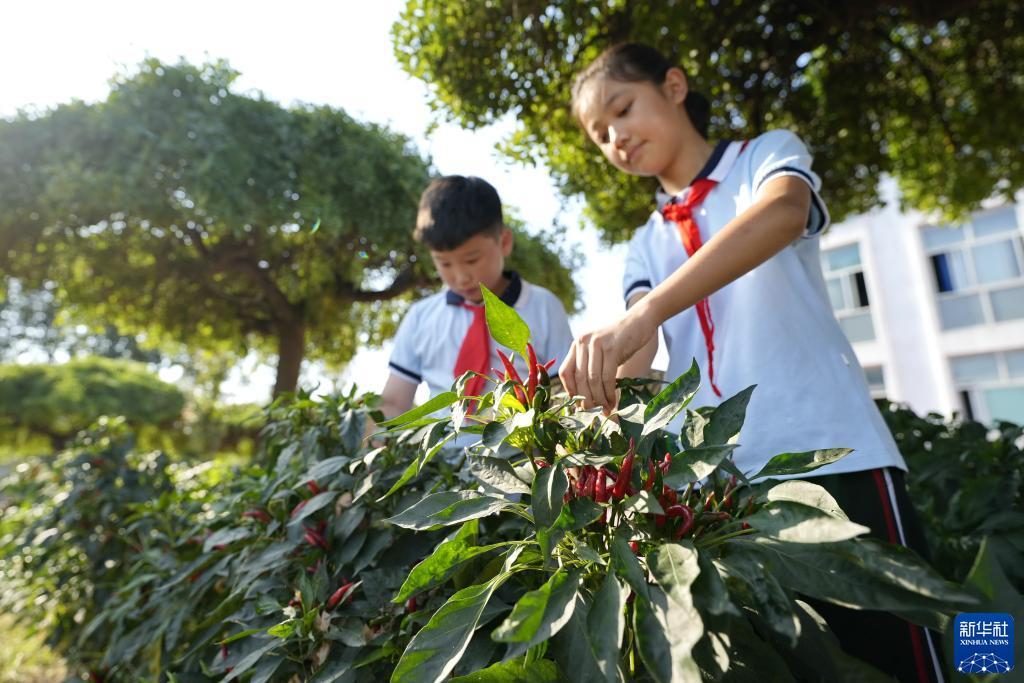 永利会是干嘛的